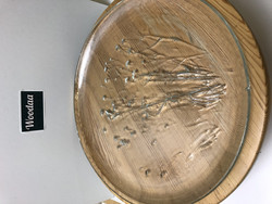 R11 Aarikkas Large footed serving plate