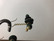 E153 Aarikkas bug earrings