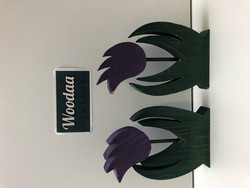 F127 Puutulppaanit violetit