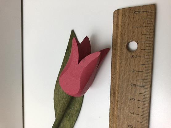 F129 Pinkki tulppaani, Puutu