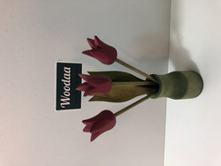F155 Puutulppaanit lilat