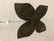 M67 Aarikka flower and butterflyes mobile