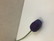 F169 Johan Puu violetti tulppaani