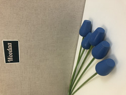 F170 Johan Puu blue tulips