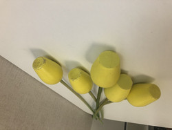 F171 Johan Puu yellow tulips