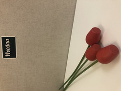 F172 Johan Puu red tulips