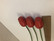 F172 Johan Puu red tulips