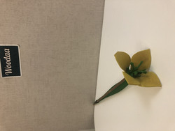 F178 Johan Puu yellow daffodil