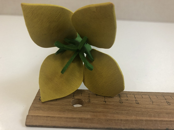 F178 Johan Puu yellow daffodil