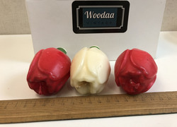 H72 tulip candles