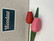 F200 Johan Puun tulips 2 pcs