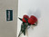 F218 red wooden roses