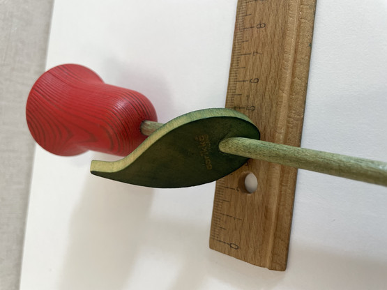 F234 Aarikan punainen tulppaani