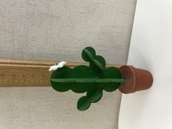F246 Johan Puu cactus