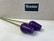 F267 Johan Puu tulips 2 pcs