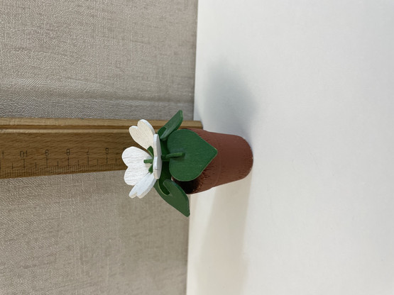 F280 Johan Puu white flowers