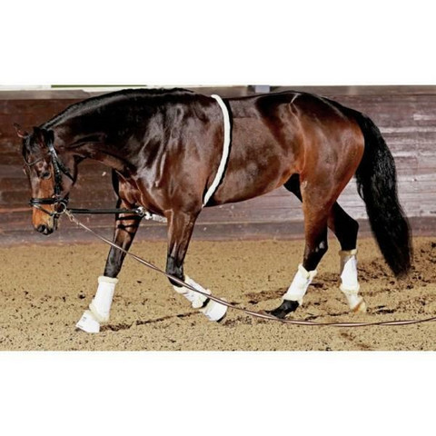 Horse Guard juoksutusapu