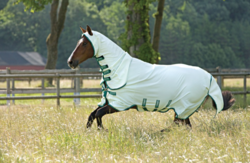 Rambo Sweetitch Hoody ihottumaloimi