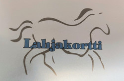 Lahjakortti 100€