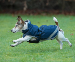 Bucas Freedom Dog Rug, sininen