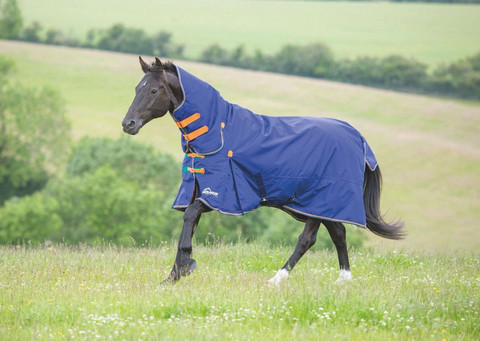 Shires Highlander original 100g, navy