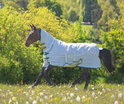 Shires Tempest plus sweet-itch combo