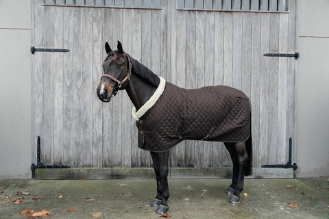 Kentucky Show rug, brown