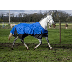 Equithéme tyrex 0g sadeloimi