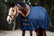 Kentucky Stable rug 0g, tummansininen