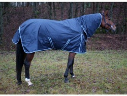 Finequine Sisu ulkotoppaloimi 200g