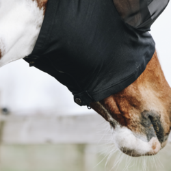 Kentucky Fly Mask Slim Fit
