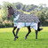 Shires Tempest original zeb-tek hyönteisloimi