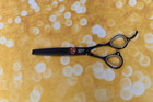 P&W BLACK WIDOW 6,0