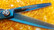 P&W Blue Star  6