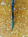 P&W Blue Star 6,0¨ kaarevat / curved