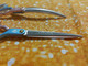 LeoNine sakset Asian Fusion setti
