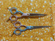 LeoNine sakset Asian Fusion setti