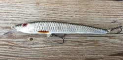 Roach 13cm