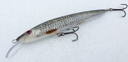 Roach 13cm