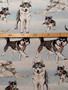 Joustocollege pala Huskyt 125 x 160cm