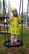 JOUSTOCOLLEGE pala 70cm Jalitsu keltainen leveys n. 160cm