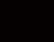 VISKOOSIBAMBU musta kotimainen lev. n. 145cm 