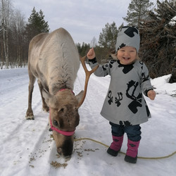 LAINE mekkotunika Hirvas 86-152cm pitkähih.
