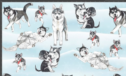 JOUSTOCOLLEGE Huskyt lev 160cm