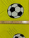 TRIKOO pala JALITSU keltainen 65cm x 160cm