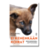 Katariina Laine: Ei kenenkään koirat – Rescuekoiria auttamassa