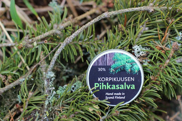 Korpikuusen Pihkasalva
