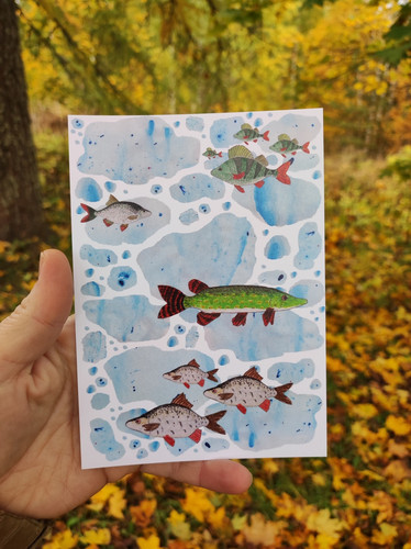 Kalajuttu -postikortti