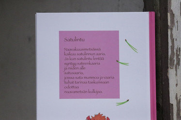 Mutavelliä ja lummesoppaa -metsäloruja, Sari Kanala
