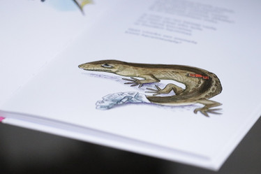 Mutavelliä ja lummesoppaa -metsäloruja, Sari Kanala